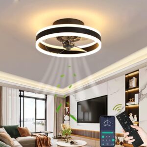 Ceiling Fan Light - Fuchschwi